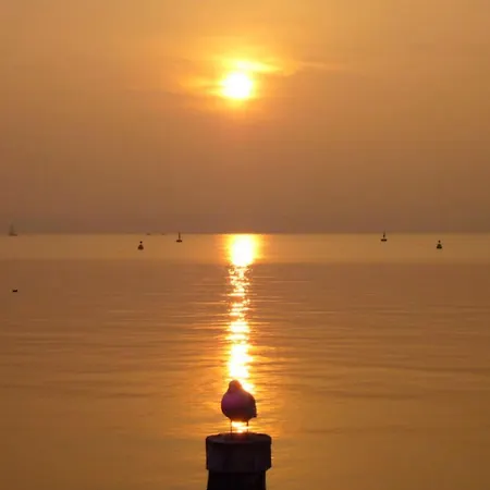 The Geko Sirmione